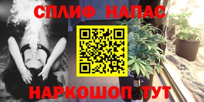 крисы Лесосибирск