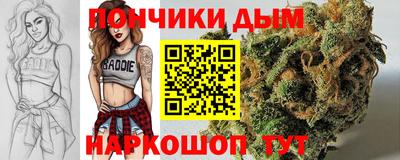 крисы Лесосибирск