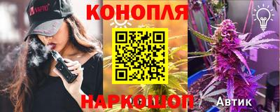 крисы Лесосибирск